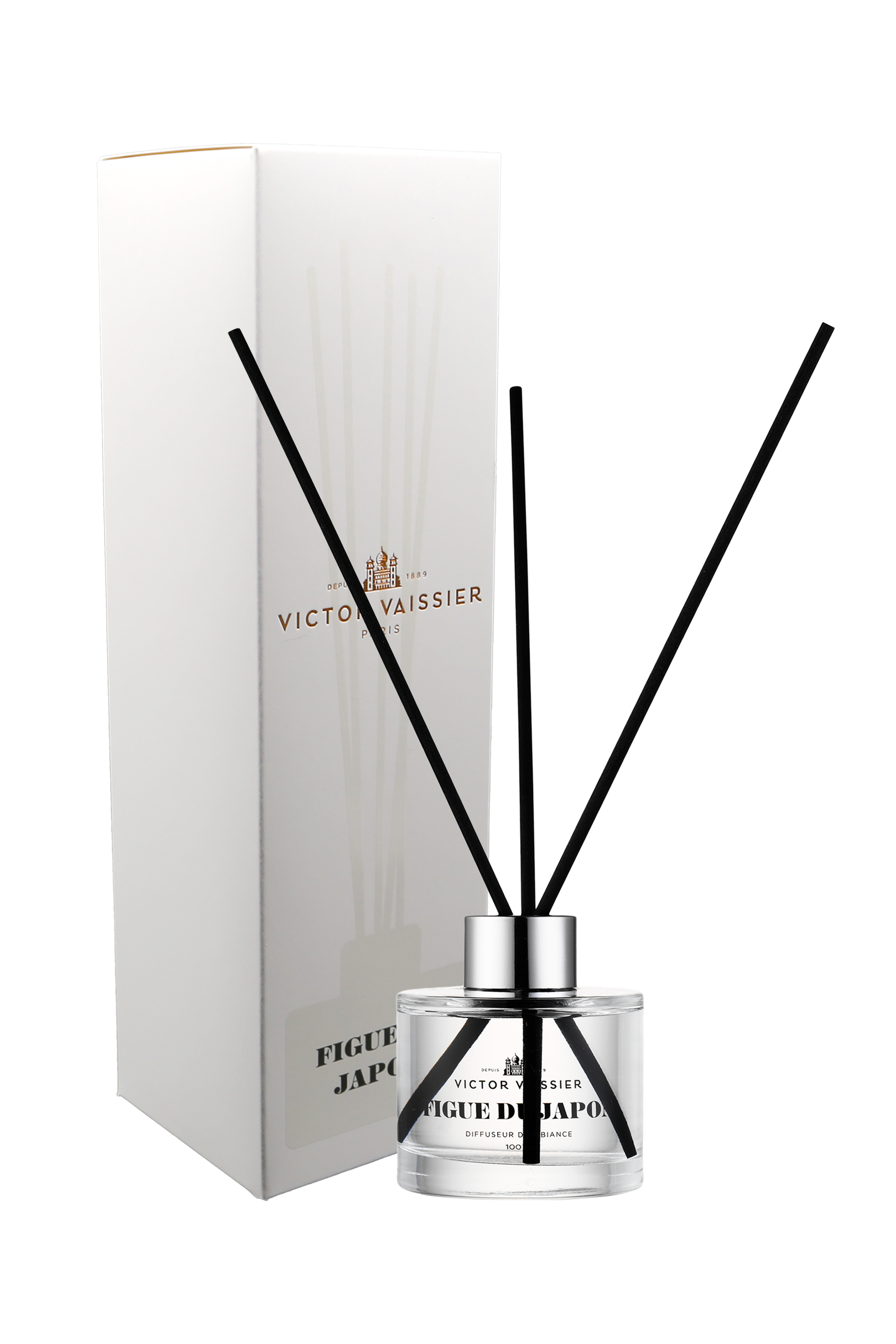 FIGUE-DU-JAPON-DIFFUSER_BOX- FIGUE-DU-JAPON-DIFFUSER_BOX-