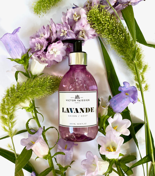 LAVANDE
